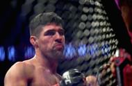 UFC 229: Luque v Turner